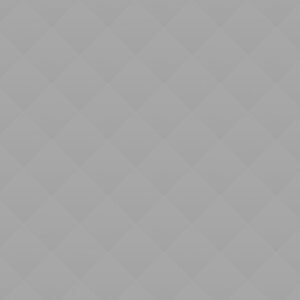 06 Develop good governance practices